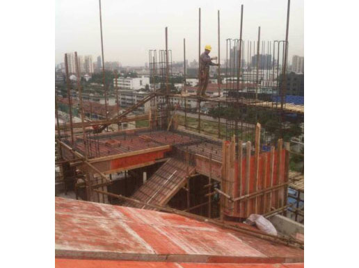 蘇州棕櫚灣土建